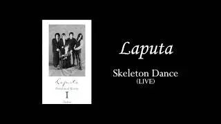 Laputa　Skeleton Dance(LIVE)　ーParadoxical Realityー ノイズ注意