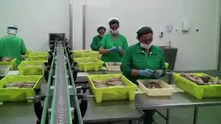 La Elaboración de la Conservas.mp4