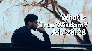 What Is True Wisdom? | Job 28:28 | Daily Devotion | Daily Bible Verse