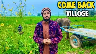 Come back in villoge دوبارہ ولاگ میں واپس آگئے