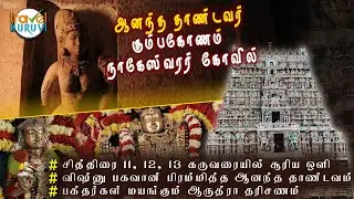 கும்பகோணம் நாகேஸ்வரர் கோவில் ஆருத்திரா தரிசனம் | Nageswaraswamy Temple Kumbakonam - Travel Kuruvi