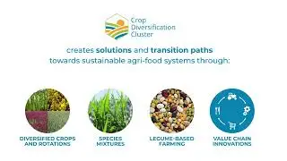 Crop Diversification Cluster - Solutions for sustainable agri-food system
