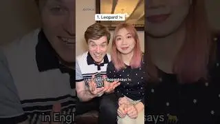 Английский против китайского: звуки животных 🐆 🐳 🦒 #международнаяпара #любовь #мандаринскийнаречи...