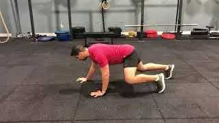Quadruped Walk