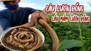 CÂU LƯƠN ĐỒNG VỀ NẤU LẨU MẮM _ CÂU LƯƠN ĐỒNG TẬP 2