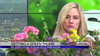 Spring planting tips from Bell Nursery