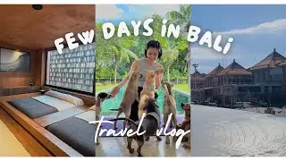 Bali Vlog |說走就走的旅行✈️ 峇厘島🧘🏻‍♀️