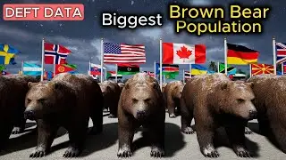 Brown Bear Population by Country 🐻 3D COMPARISON