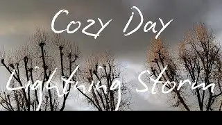🌧️ Gray Skies & Nighttime Lightning Storm⚡ #fallaesthetic #thunderstorm #rainsounds  #lofi #cozy