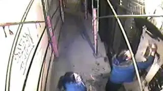 Taggers captured on video with police bust 30JAN12 SF