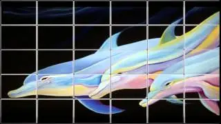 Dolphin Paintings For Sale