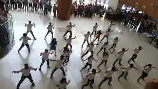 Jio Flashmob RCP