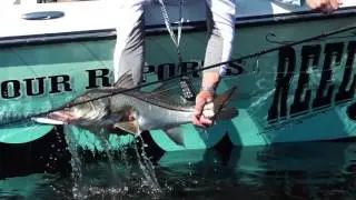 FS Seminar - Peace River Hard Baits