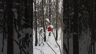 Забыли про скучный фитнес! Секрет идеальной зимней прогулки — палки и белки.