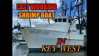 Miss Key West - Last Working Shrimp Boat in Key West