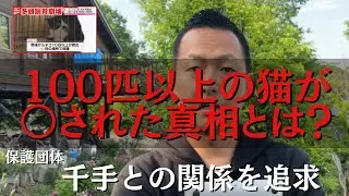 【熊本県保護団体千手】100匹以上の猫が○された真相とは？【多頭飼育崩壊】