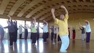 Training by Master Liu Deming