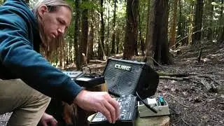 A Cold Forest - live outdoor synthesizer experimental loop jam with SH-101, MC-101, TD-3 and RC-500