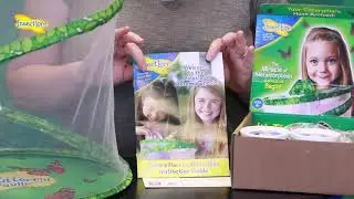 Insect Lore - Butterfly School Kit