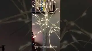Birch Tree with Light