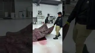 FULL WASH VIDEO! LONGER VERSION Hand-knotted wool #realtime