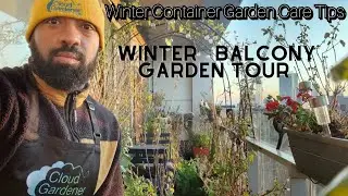 Winter Balcony Garden Tour & Overwinter Container Garden Care Tips