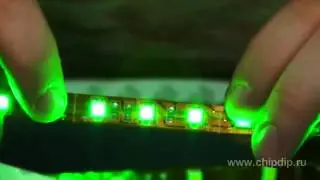 LS606 зеленая светодиодная лента 60 LED на метр