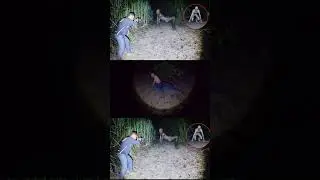 SKINWALKER A CRIATURA QUE PODE IMITAR A FORMA HUMANO MACABRA