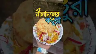 Fish Kachori | Bagbazar Famous Fish Kochuri  | Neelachal | Macher Kochuri  #foodshorts #streetfood