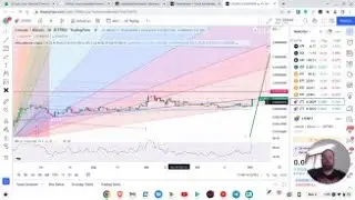 CryptoJournal 11 2 2022
