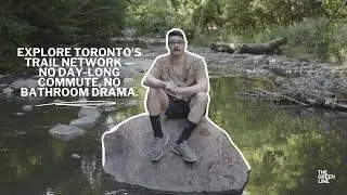 🦫🦌 Beavers, deer and TTC stops: Explore Toronto's best hiking trails 🌲