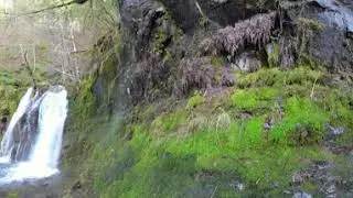 Big Huckleberry Creek waterfall