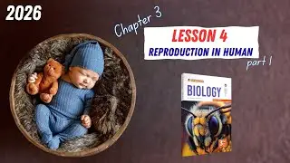 CHAPTER 3 | Lesson 4 | ELMOASSER | reproduction in human | part 1