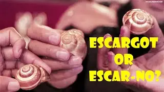 Escargot in Paris!