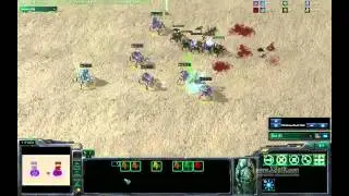 stalker blink vs roach