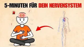 Dein Nervensystem im Dauerstress? Diese 5 Minuten beruhigen es