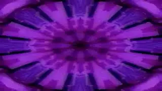 THE ELECTRC HOM