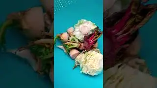 बेकार समझ कर मूली के ऊपर वाले पोर्शन को ना फेक #Radish #growing#youtubeshorts #trending