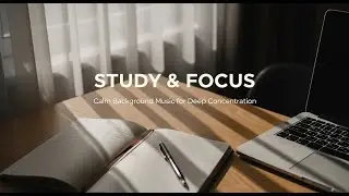 Quiet Study Music with Natural Light ☀️ | Distraction-Free Focus BGM