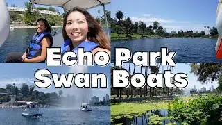 Things to do in LA | Ride the Echo Park Swan Boats 🦢