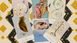 GEMINI JULY 20th/26th - &ldquo; A Step Forward! Very Keen &ldquo;