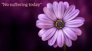 Dhamma talk on 