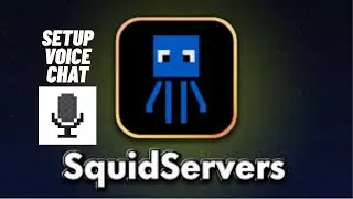 Setup voice chat in SQUIDSERVER
