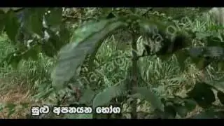 Nawa goviya 1 1 3 avi