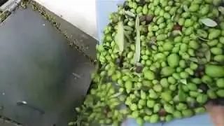 Olive crushing machine