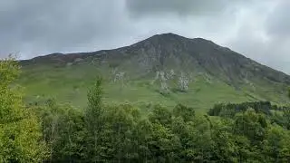 A Highland cow at Glencoe visitors centre