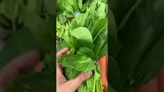 KOREAN SPINACH SIDE DISH - SIGEUMCHI NAMUL #shorts