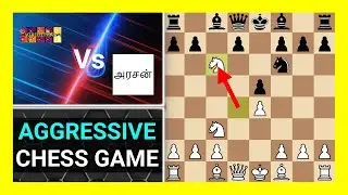 Aggressive Chess Engine Game, Viridithas 12.0.0 vs Arasan 24.2.1, Watch and Learn Chess