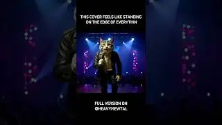 NOW OR NEVER - Tkandz & CXSPER Cover #heavymewtal #meowmetal #catmetal