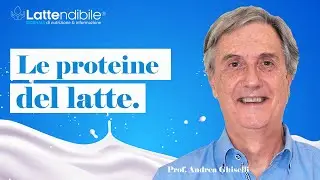 LE PROTEINE DEL LATTE | Lattendibile